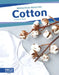 Cotton by Dalton Rains