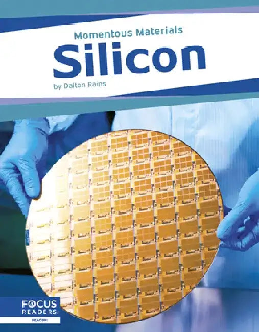 Silicon by Dalton Rains
