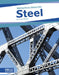 Steel by Trudy Becker