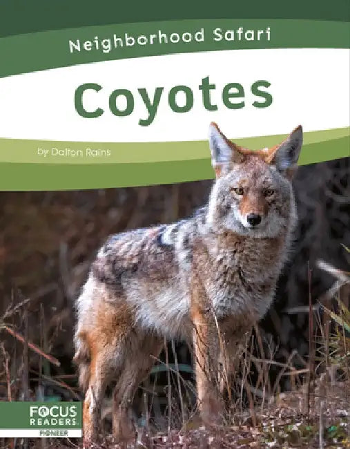 Coyotes by Dalton Rains