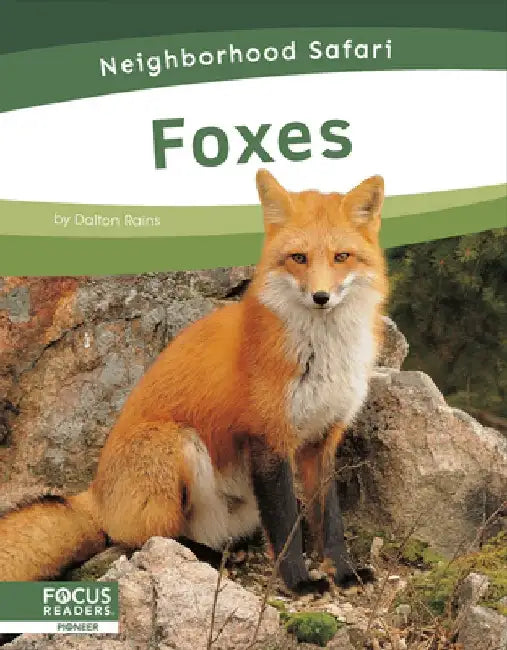 Foxes by Dalton Rains
