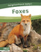 Foxes by Dalton Rains