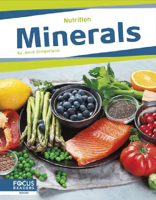 Minerals by Janet Slingerland