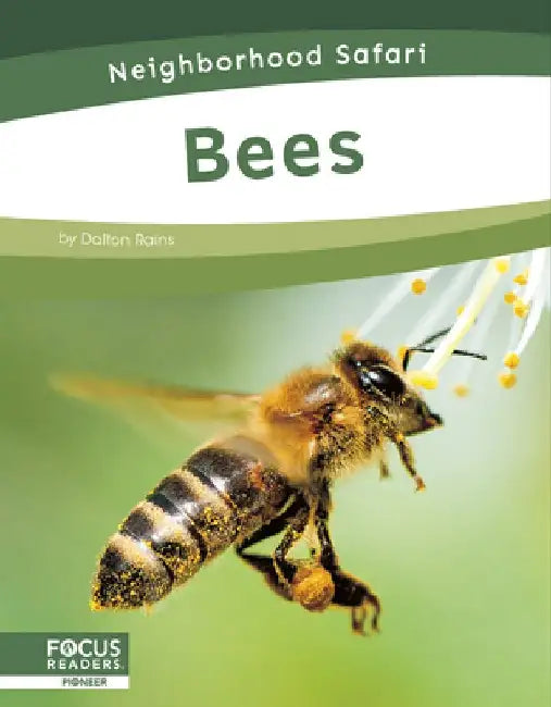 Bees by Dalton Rains