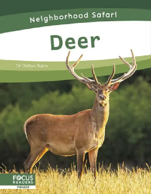 Deer by Dalton Rains