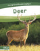 Deer by Dalton Rains