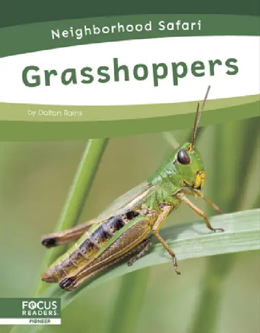 Grasshoppers by Dalton Rains