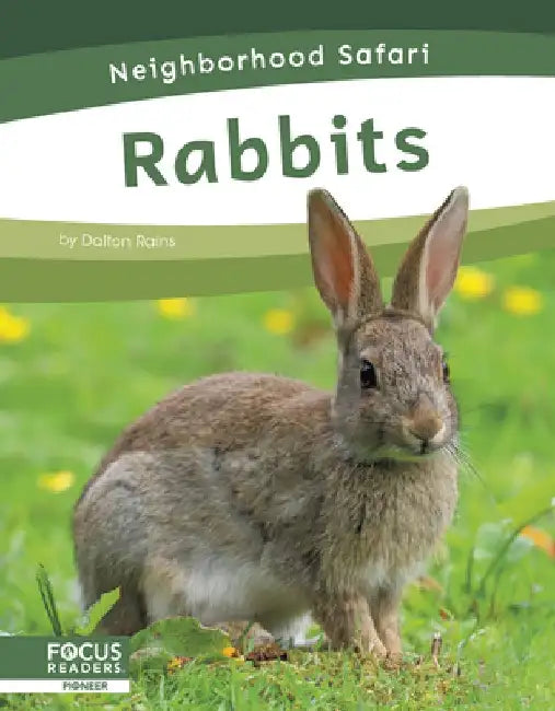 Rabbits by Dalton Rains