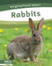 Rabbits by Dalton Rains