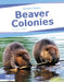 Beaver Colonies by Laura Perdew