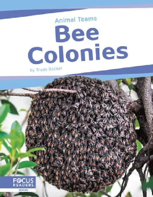 Bee Colonies by Trudy Becker