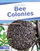 Bee Colonies by Trudy Becker