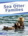 Sea Otter Families by Angela Lim