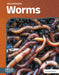Worms by Trudy Becker