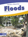 Floods by Trudy Becker