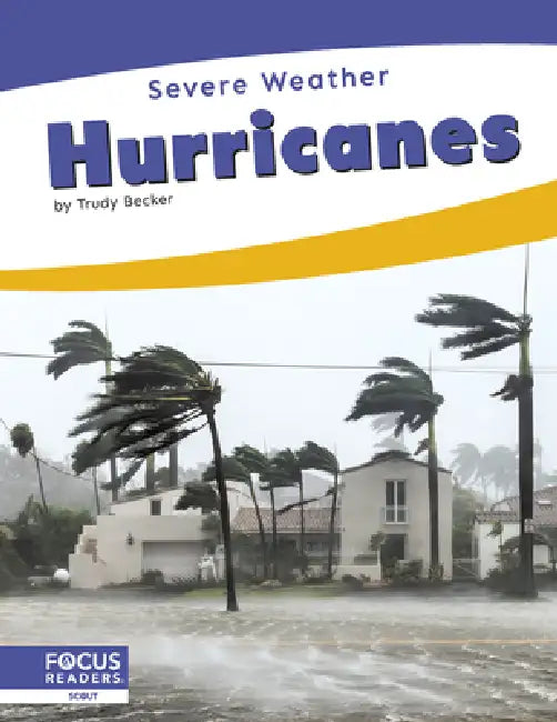 Hurricanes by Trudy Becker