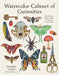 Watercolor Cabinet of Curiosities: Paint Perfectly Peculiar Insects, Antiques & Other Oddities by Touriño, Nassybah