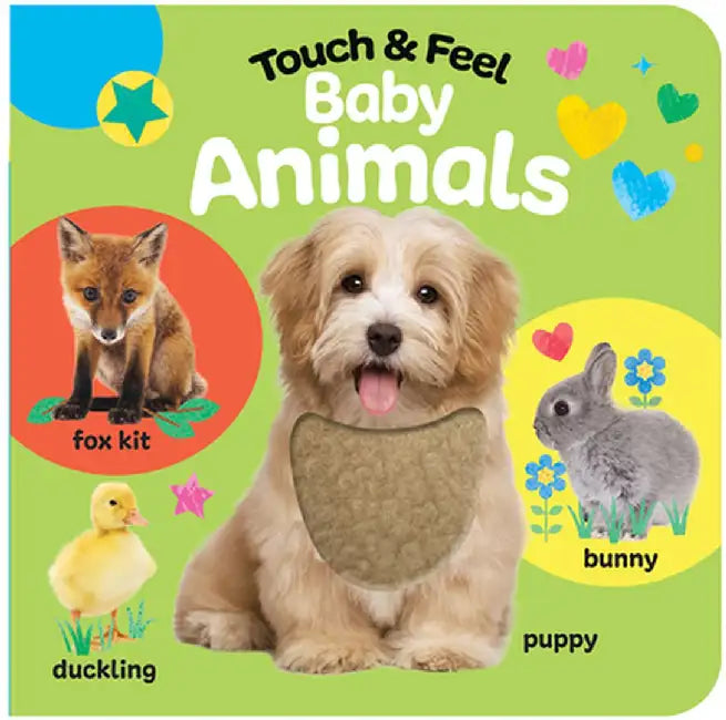 Touch & Feel Baby Animals by Fhiona Galloway