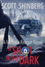 A Shot in the Dark by Scott Shinberg