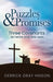 Puzzles & Promises: Three Covenants Between God and Man by Derrick Gray Hinson