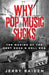 Why Pop Music Sucks by Jerry Baiden