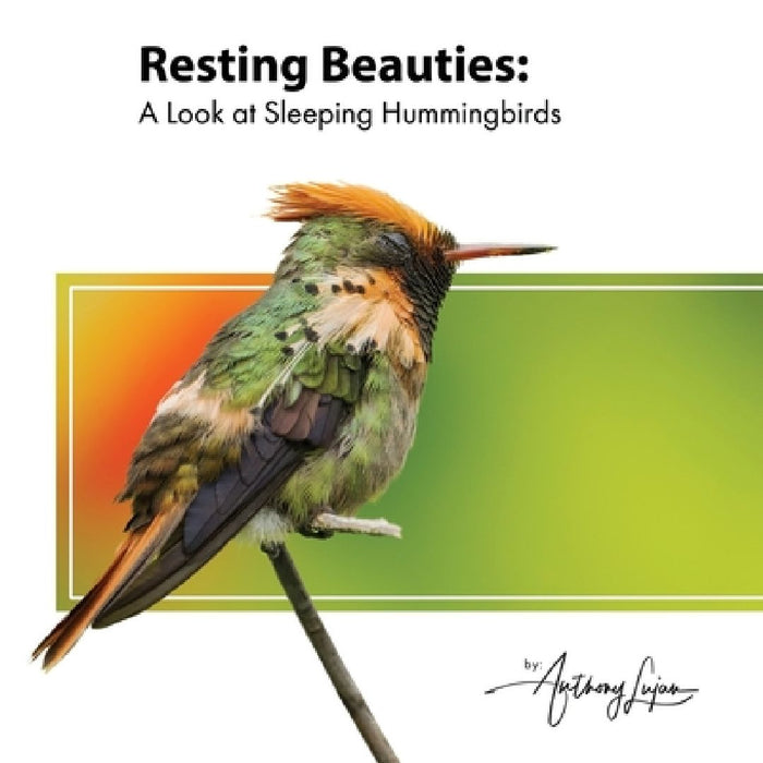 Resting Beauties: A Look at Sleeping Hummingbirds by Anthony Lujan