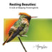 Resting Beauties: A Look at Sleeping Hummingbirds by Anthony Lujan
