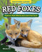 Kids' Backyard Safari: Red Foxes: Explore Their World and Learn Fun Facts by Nicole Orr