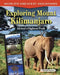 Exploring Mount Kilimanjaro: Africa's Highest Peak by Christine Petersen