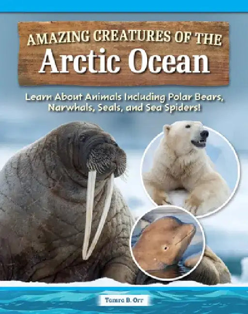 Amazing Creatures of the Arctic Ocean: Learn about Animals Including Polar Bears, Narwhals, Seals, and Sea Spiders! by Tamra B. Orr