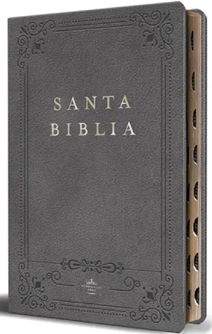 Biblia Rvr 1960 Letra Grande Tamaño Manual, Piel Gris Con Índice / Spanish Bible Rvr 1960 Handy Size Large Print Leathersoft Gray with Index by Reina Valera Revisada 1960