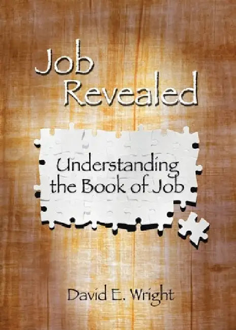 Job Revealed: Understanding the Book of Job by David E. Wright