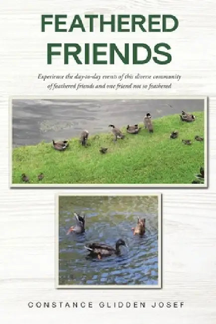 Feathered Friends: Experience the day-to-day events of this diverse community of feathered friends and one friend not so feathered by Constance Glidden Josef