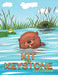 Kit the Keystone by Jess Leibson