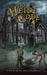 The Heidi Code by Vince Alan Willenbring