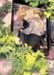 Re-Living My Life with a Boyfriend Who Doesn't Remember Me (Manga) Vol. 3 by Eiko Mutsuhana