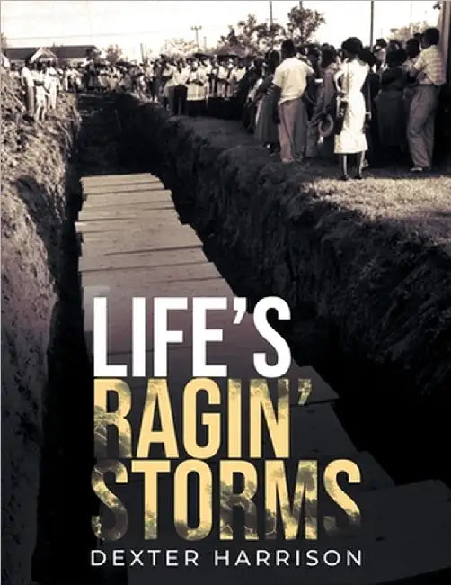 Life's Ragin' Storms by Harrison, Dexter