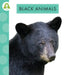 Black Animals by Anastasia Suen