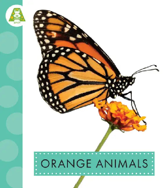 Orange Animals by Golriz Golkar