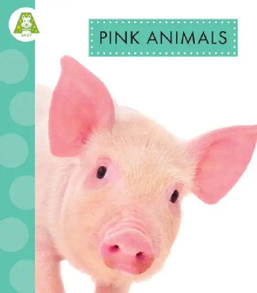 Pink Animals by Golriz Golkar