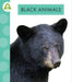 Black Animals by Anastasia Suen