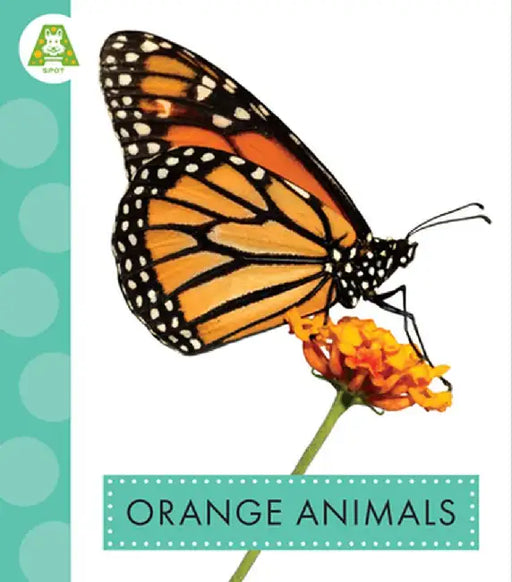 Orange Animals by Golriz Golkar