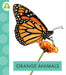 Orange Animals by Golriz Golkar