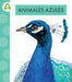 Animales Azules by Golriz Golkar
