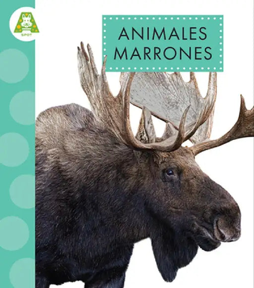 Animales Marrones by Anastasia Suen