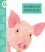 Animales Rosados by Golriz Golkar