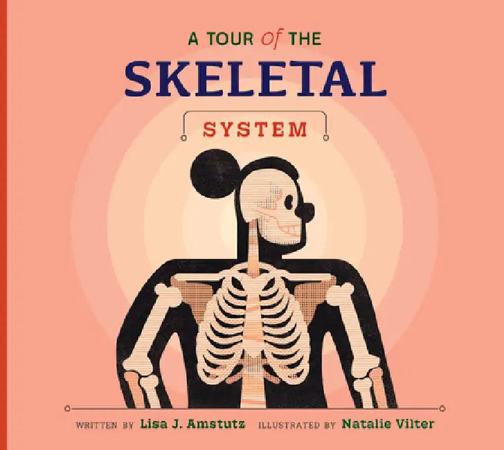 A Tour of the Skeletal System by Lisa J. Amstutz, Natalie Vilter