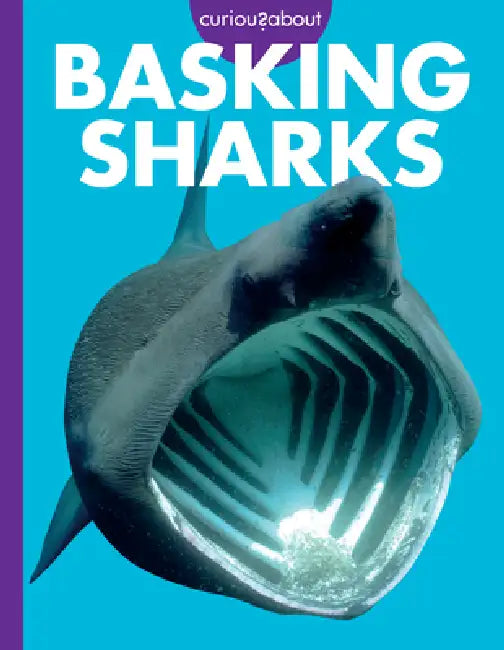 Curious about Basking Sharks by Monika Davies