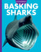 Curious about Basking Sharks by Monika Davies