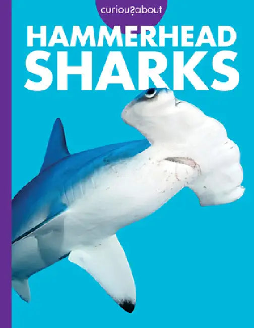 Curious about Hammerhead Sharks by Monika Davies